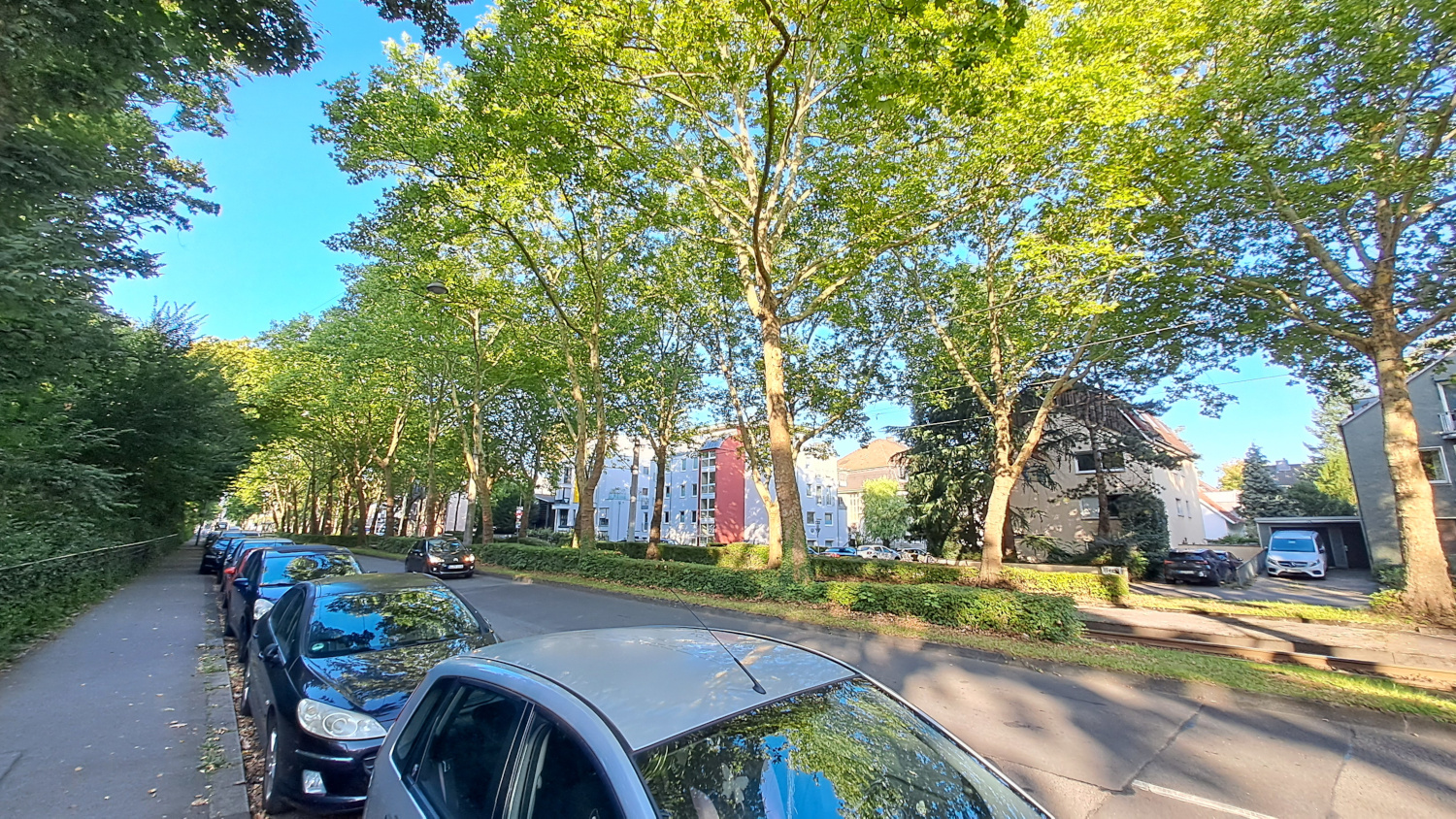 Cologne Klettenberg